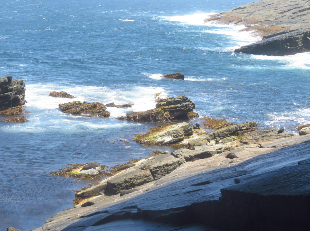 袋鼠岛旅游攻略图片