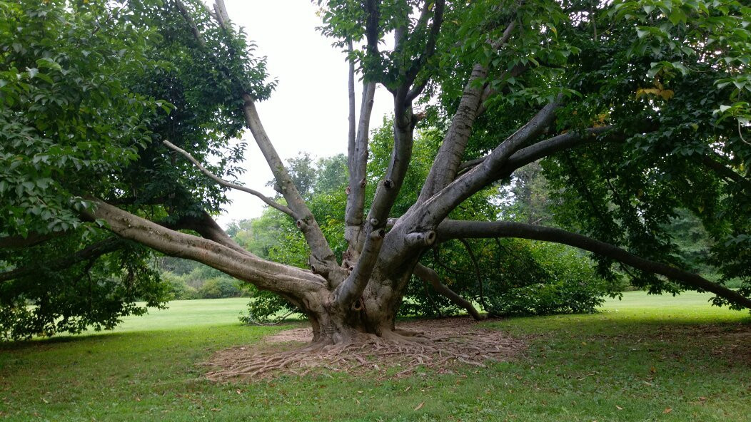 Trexler Memorial Park景点图片