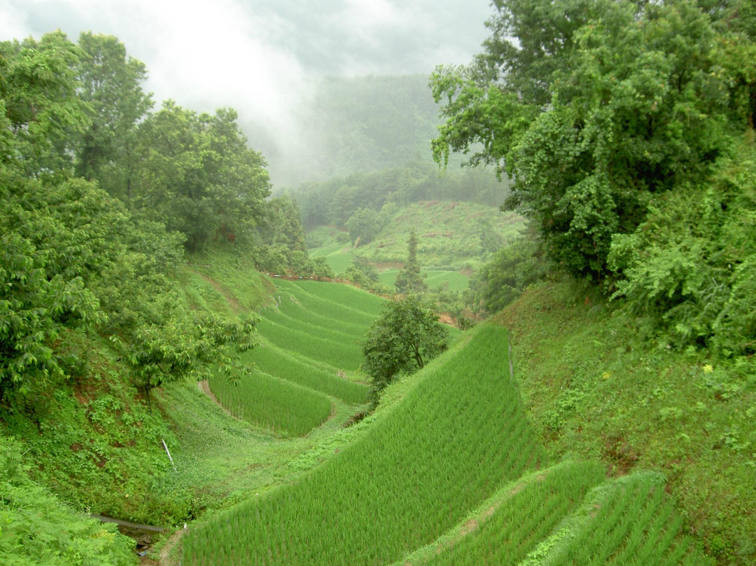 Izumidani Terraces