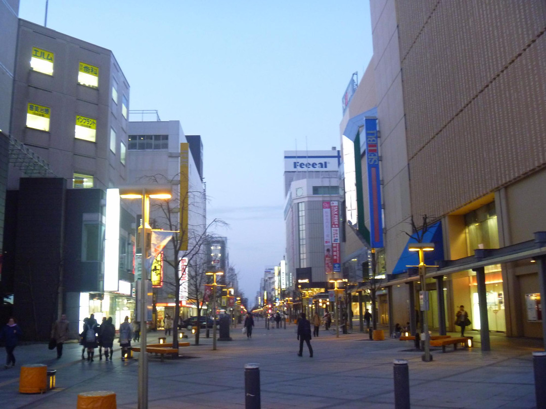 Asahikawa Heiwa Street Shopping Park景点图片