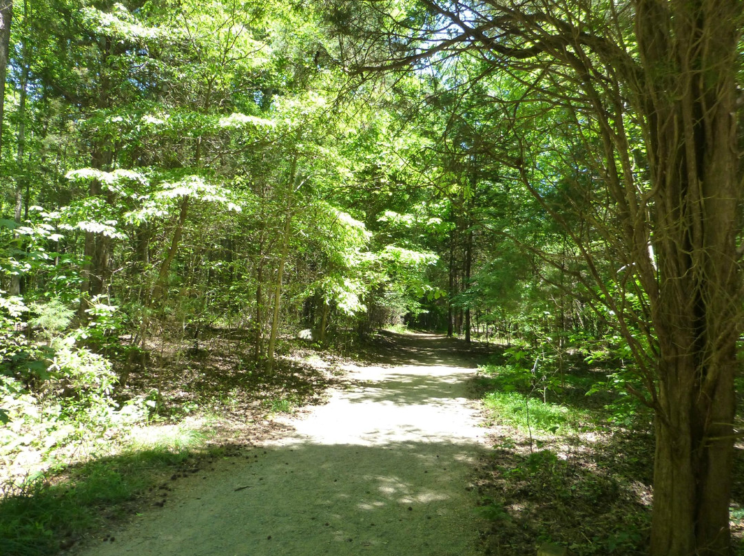 Reedy Creek Nature Center and Preserve景点图片