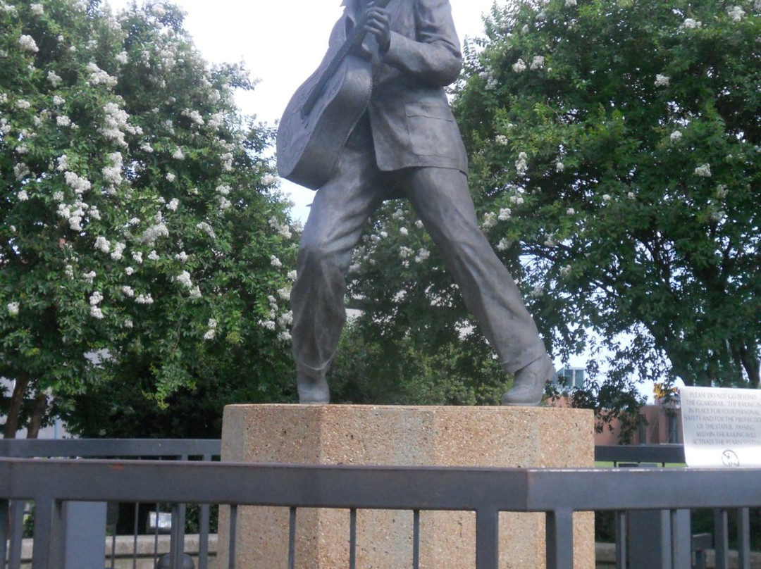 Statue of Elvis景点图片