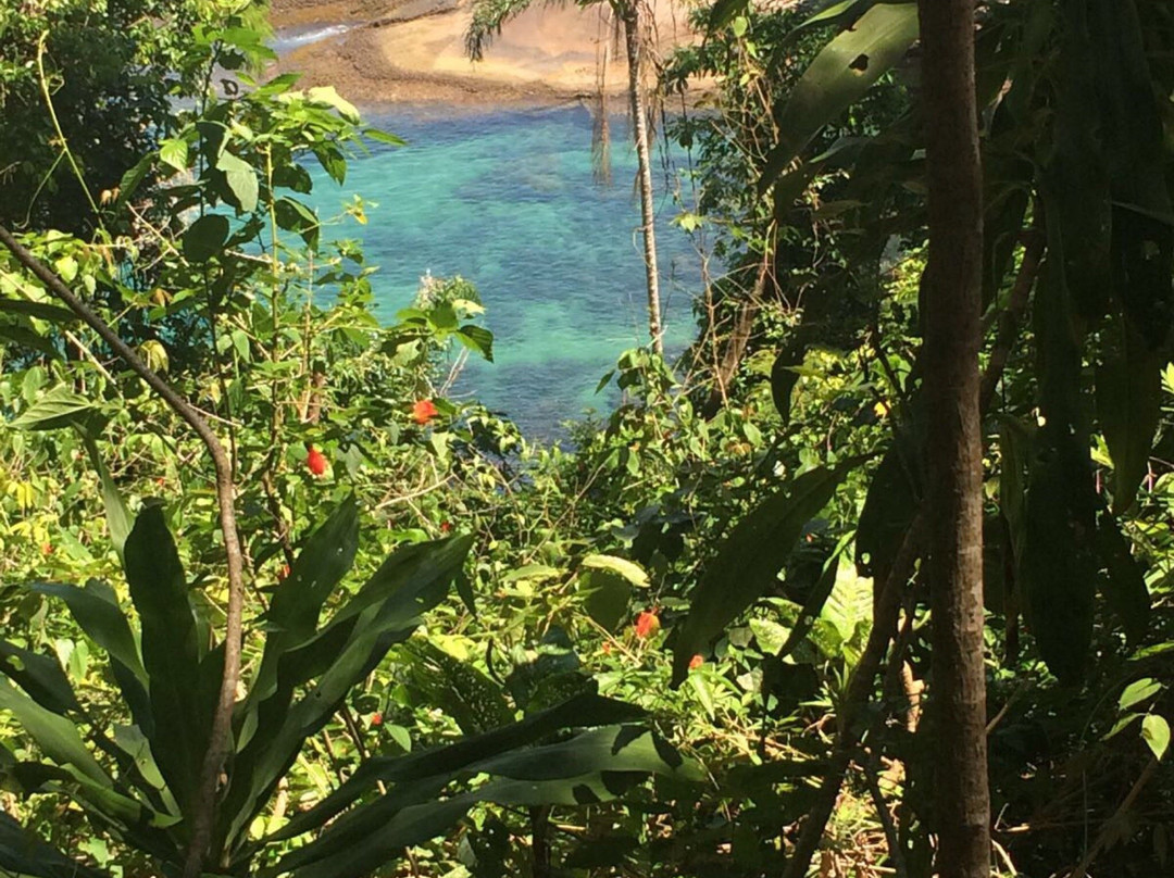 Parque Nacional da Ilha Grande-Guaira必去景点