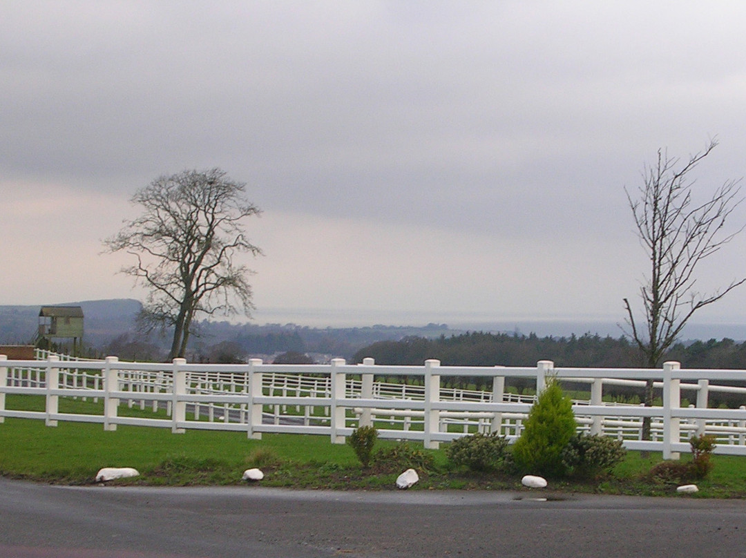 Ayr Equestrian Centre景点图片