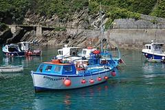 Bootlegger Boat Trips-纽奎必去景点