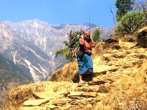 Yakthung Tours and Travels