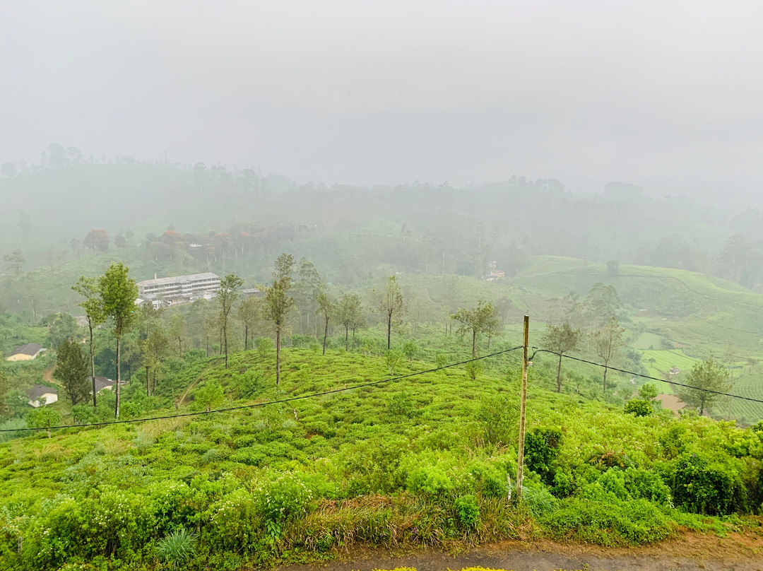 Ruvinya Hills