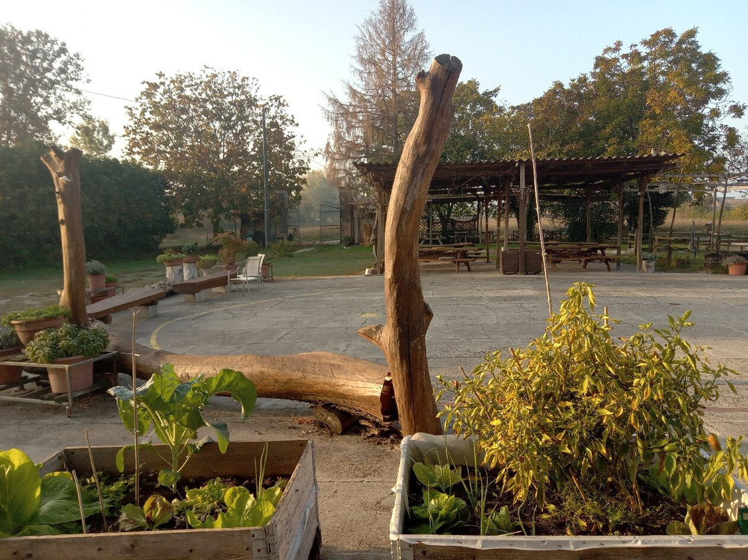 Agriturismo Corte Galvagnina