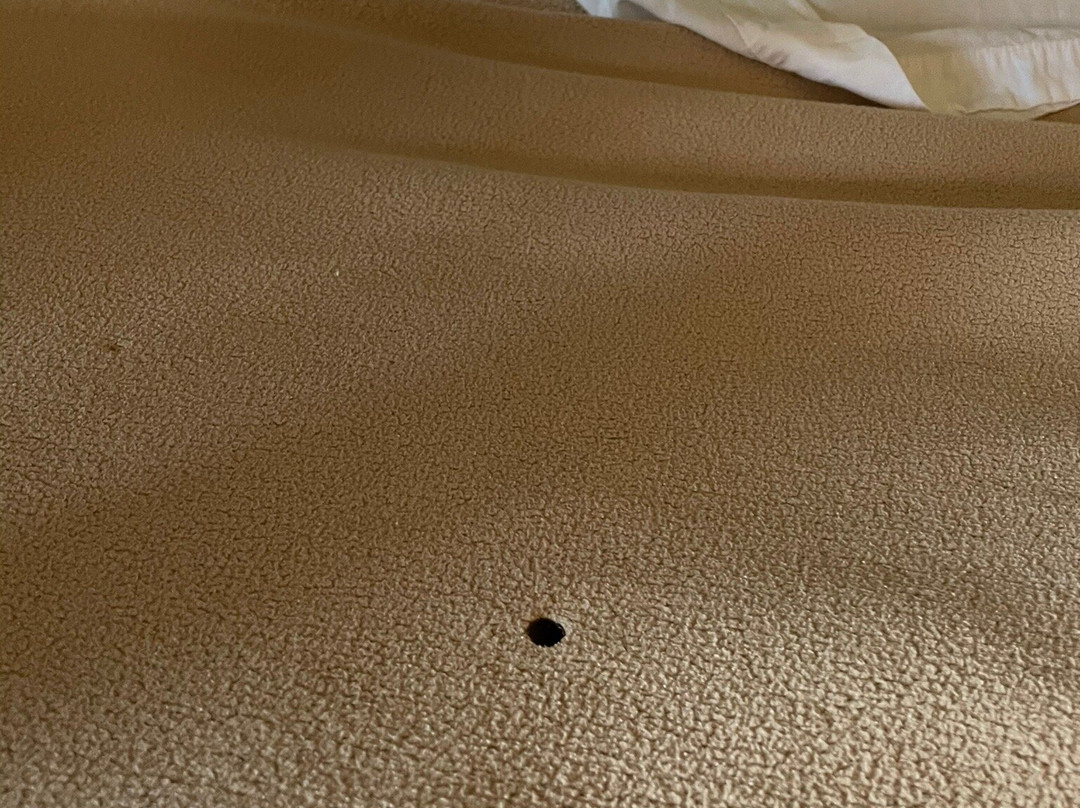 Super 8 by Wyndham Sarasota Near Siesta Key主图