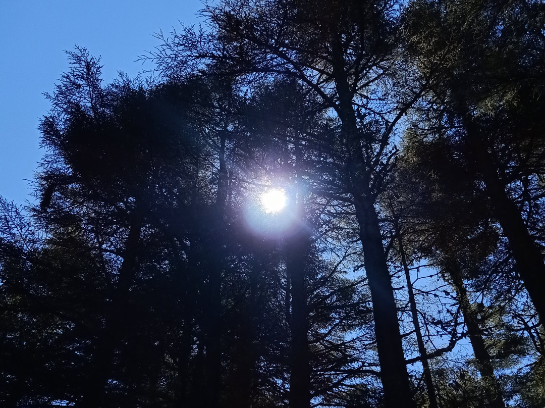 Morocco Unexplored - Private Day Tours-Azrou必去景点