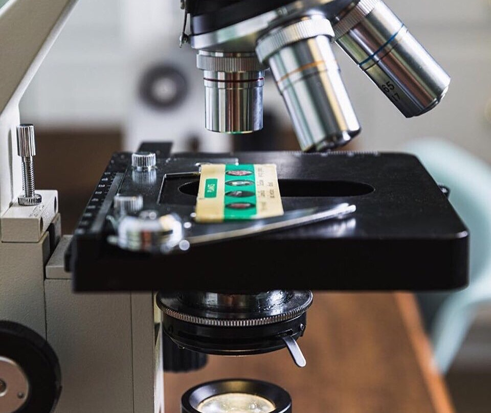 Zionsville Nature Center-Zionsville必去景点