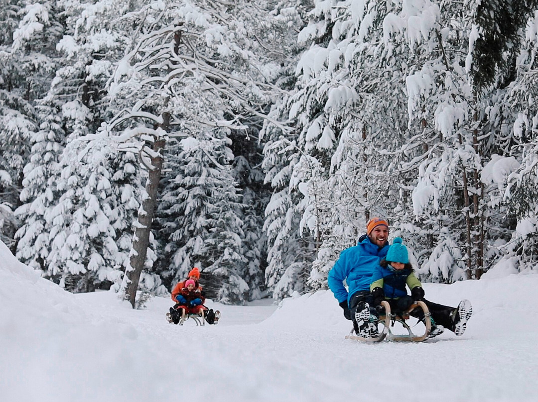斯特恩家庭兰德酒店主图