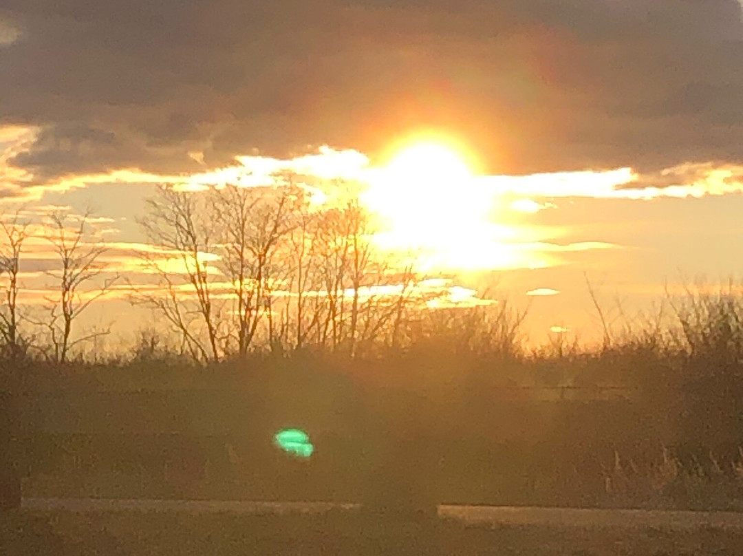 Silver Sands State Park-米尔福德必去景点