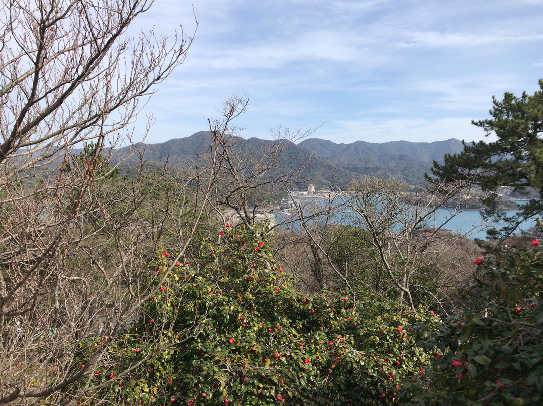 Mt. Kasayama景点图片