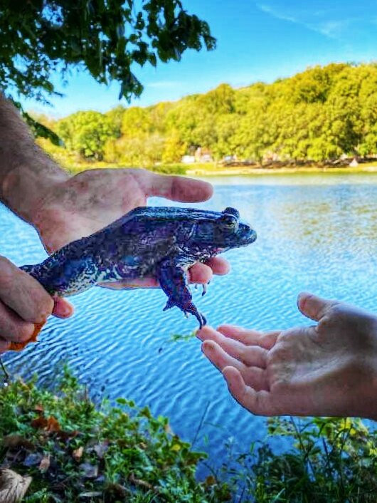 Basswood RV Resort主图