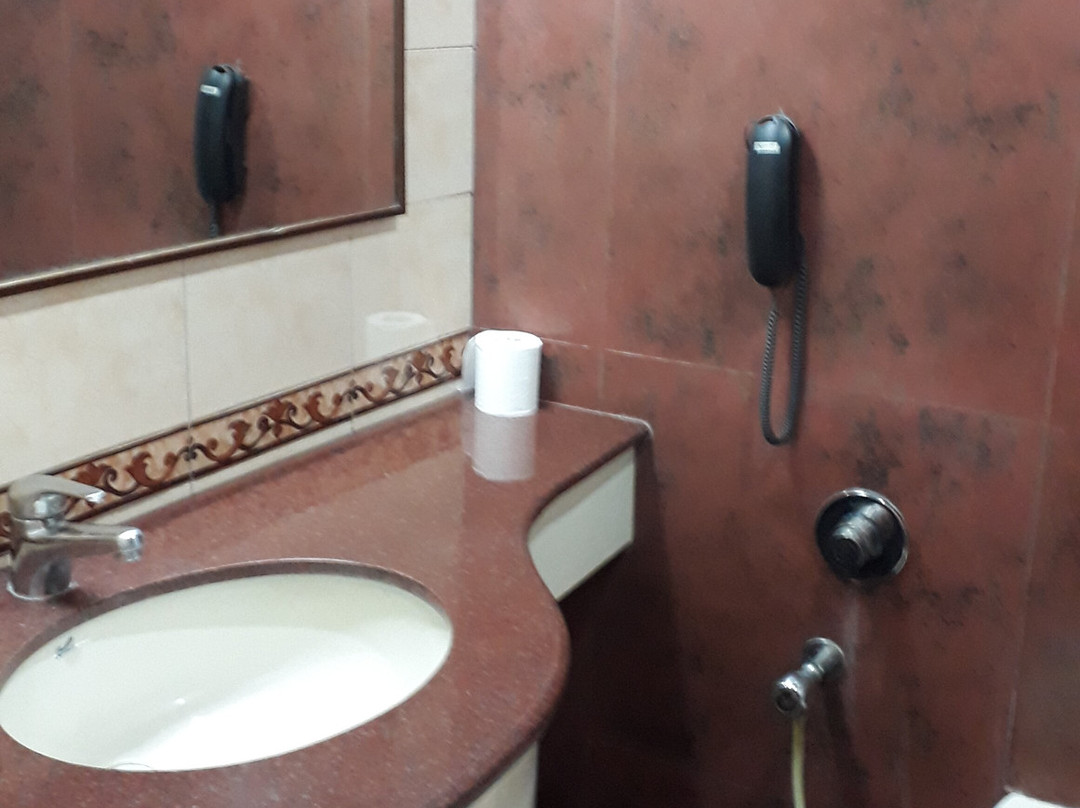 Hotel Crystal Palace主图