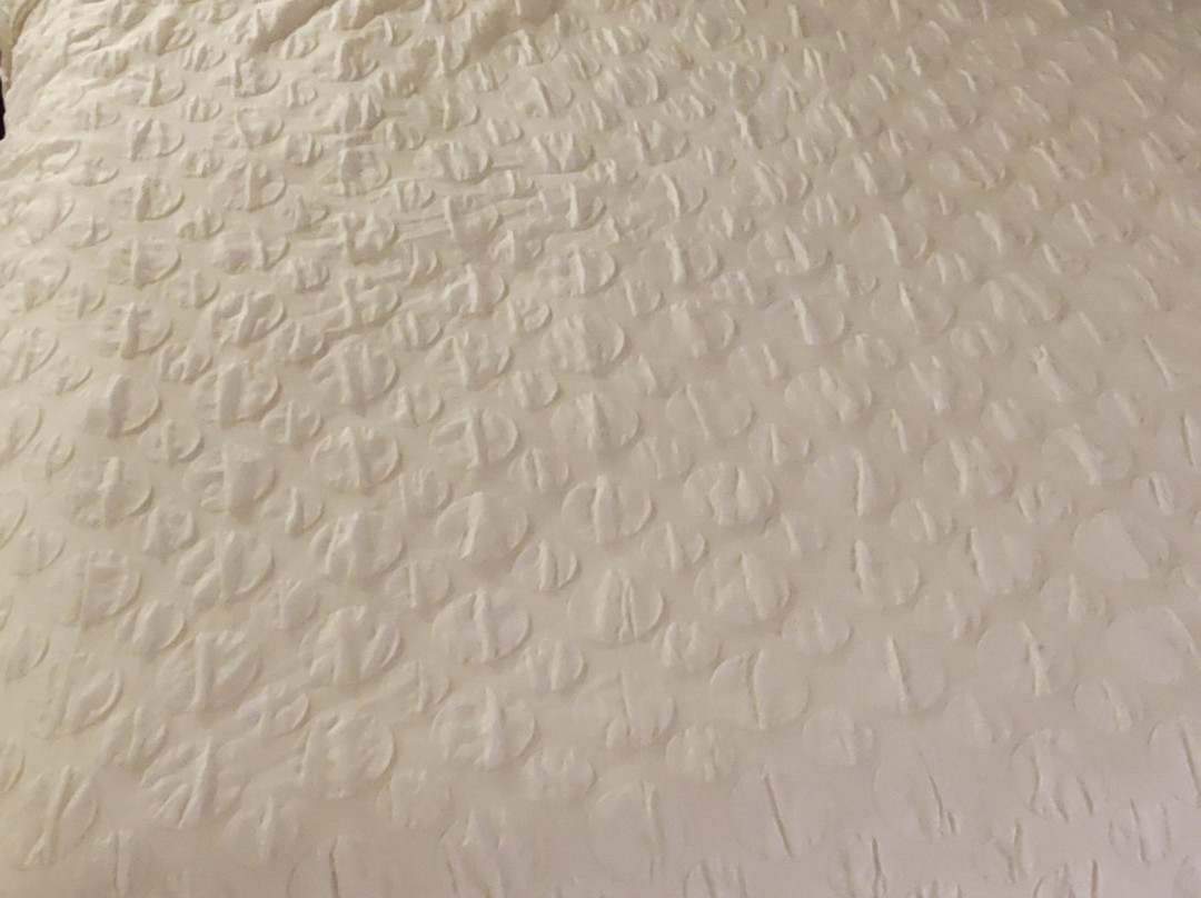 Tru by Hilton Greenville主图