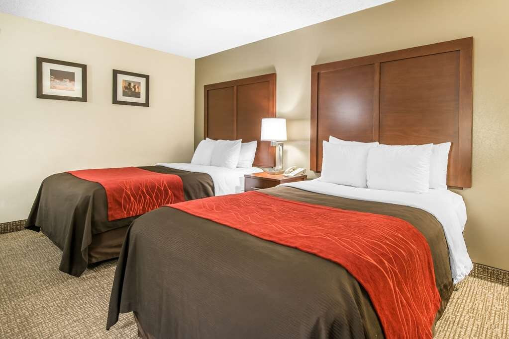Comfort Inn & Suites Denver Northfield主图