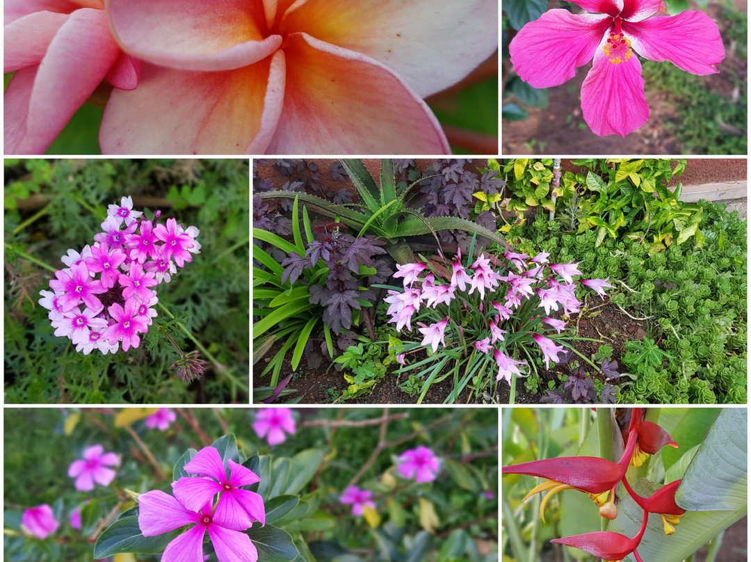 布格塞拉小屋酒店主图