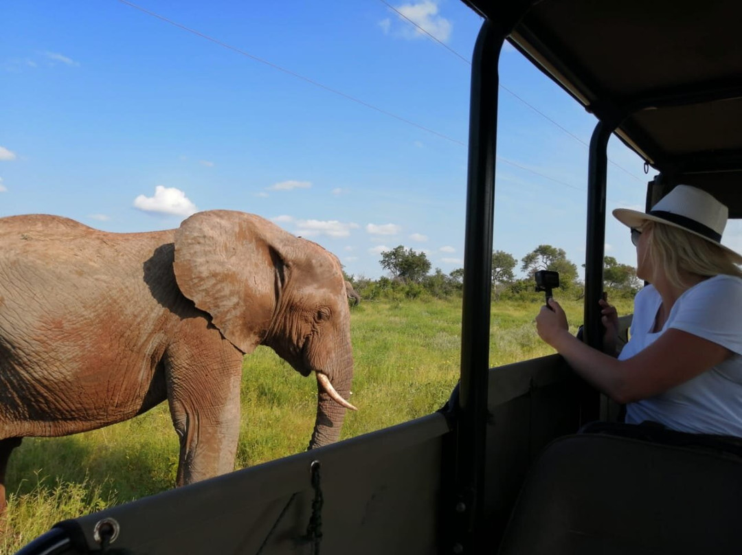 Crossroads Safaris & Tours-克鲁格国家公园必去景点