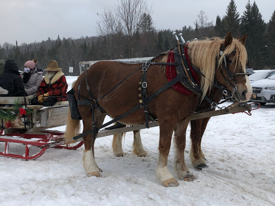 Country Dreams Farm-Plattsburgh必去景点