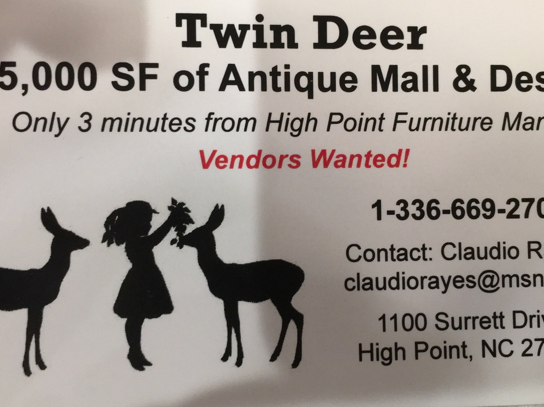 Twin Deer Antique Mall & Design景点图片