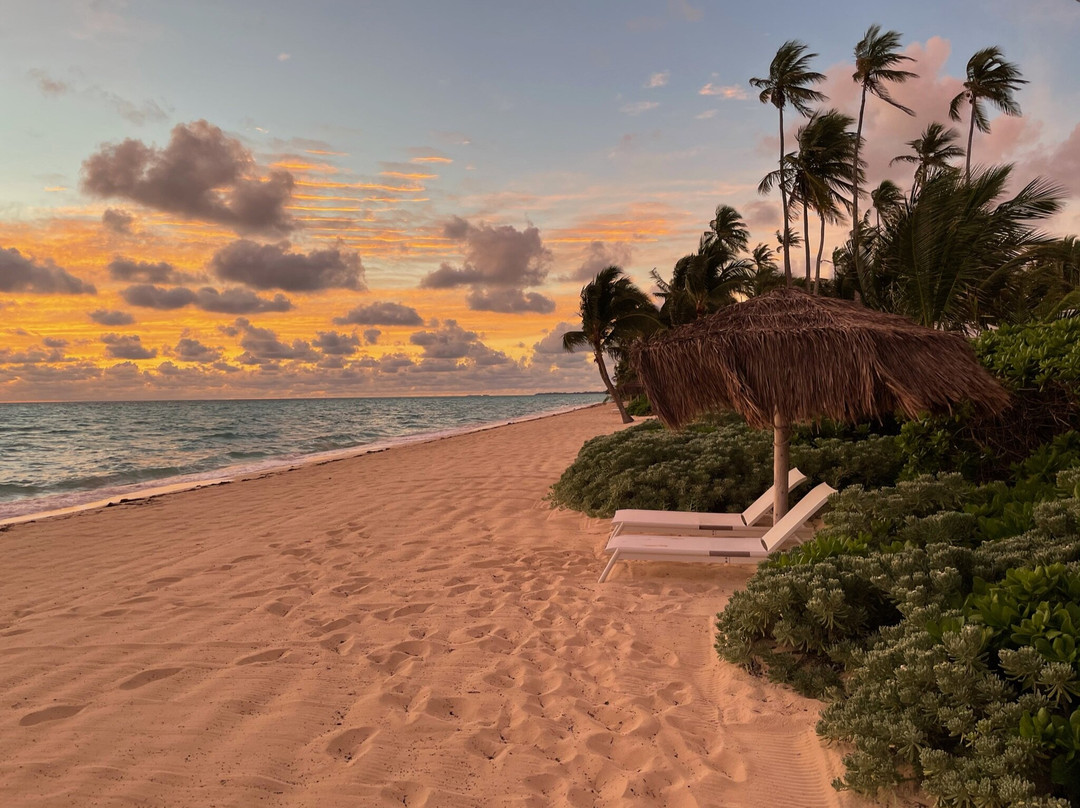 Caerula Mar Club主图