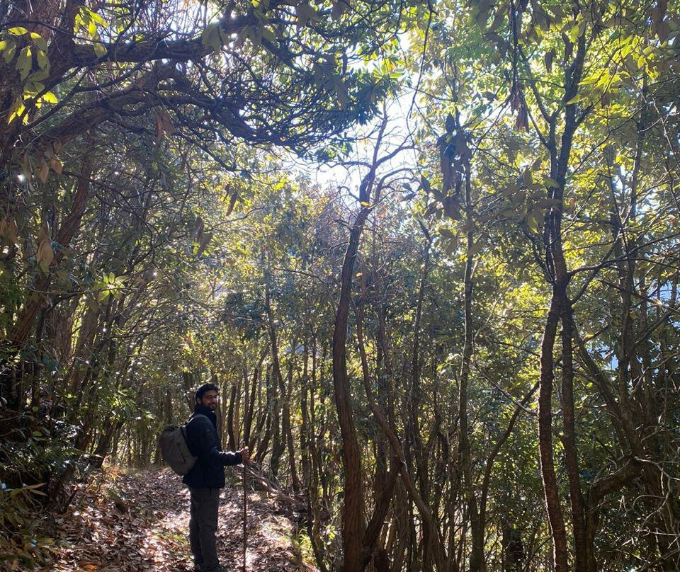 Jabarkhet Nature Reserve-马苏里必去景点