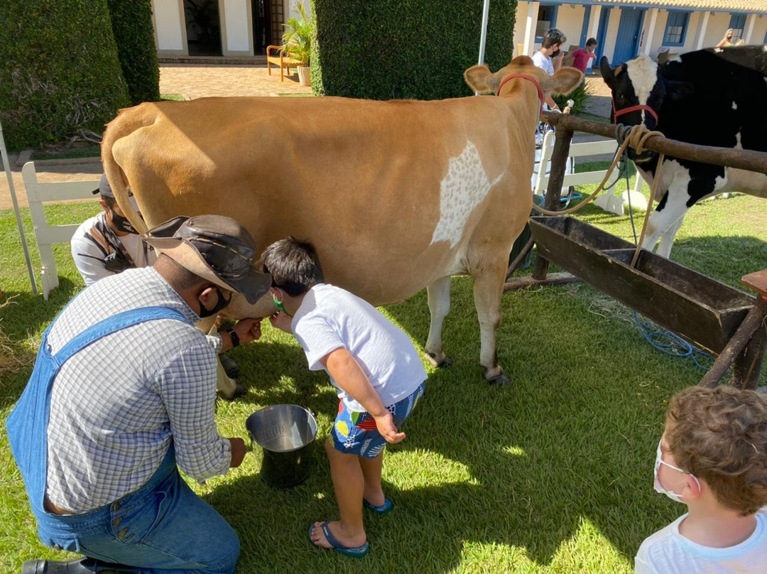Hotel Carroção主图