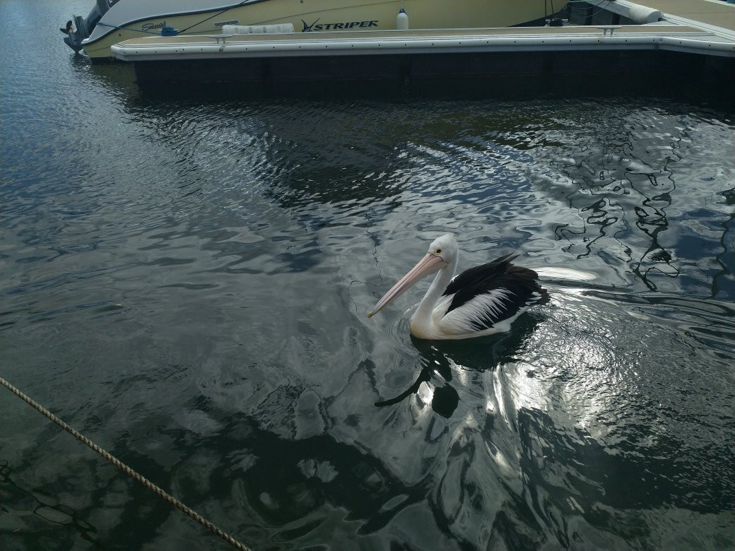 Kalgan Queen Scenic Cruises-奥尔巴尼必去景点