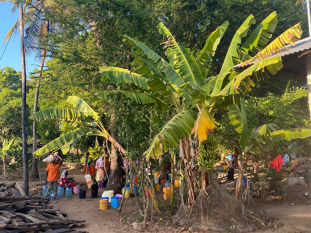 Kendwa Community Tours & Safaris-Kendwa必去景点