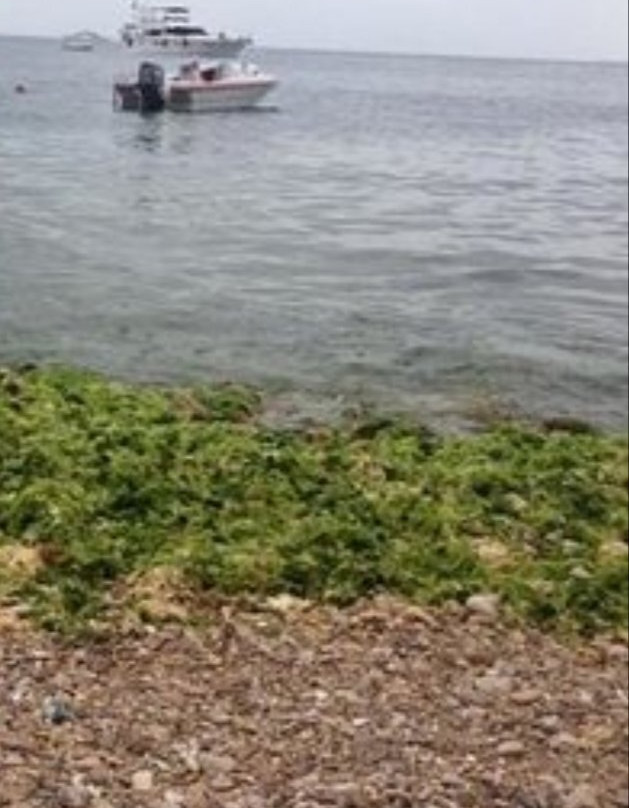 Alman Koyu-Heybeliada必去景点