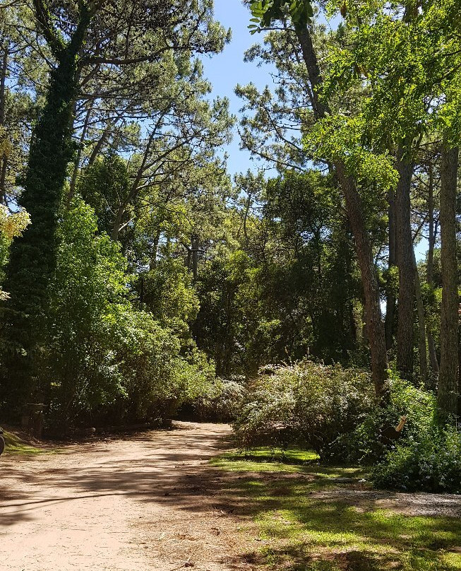 Reserva Natural-Carilo必去景点