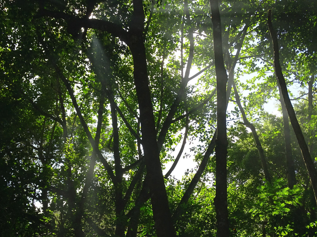 Taino Valley Tropical Park-Tubagua必去景点