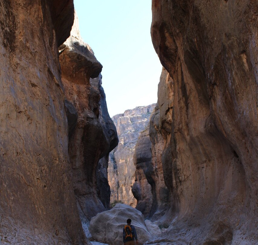 Wild Adventure Outfitters-Terlingua必去景点