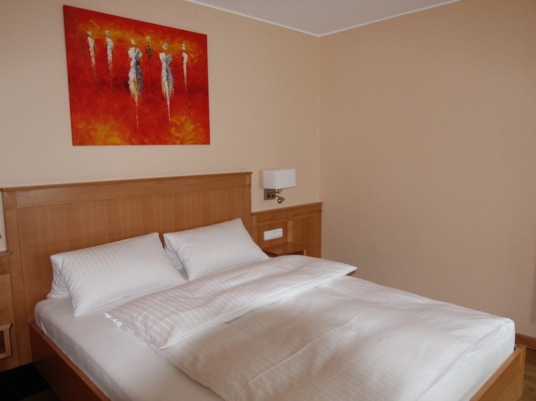 Hotel Kral - Gästehaus主图