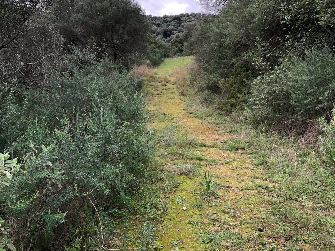 Parko Agiou Gerasimou-Platanias必去景点