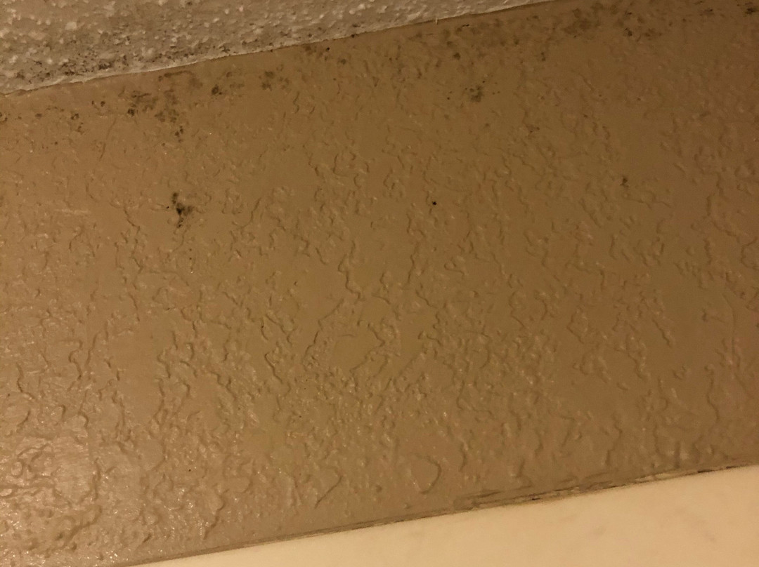 Quality Inn Clinton - Laurens I-26主图