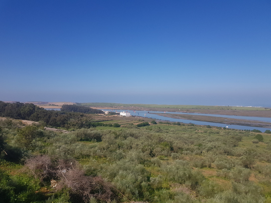 Le Temps Perdu主图