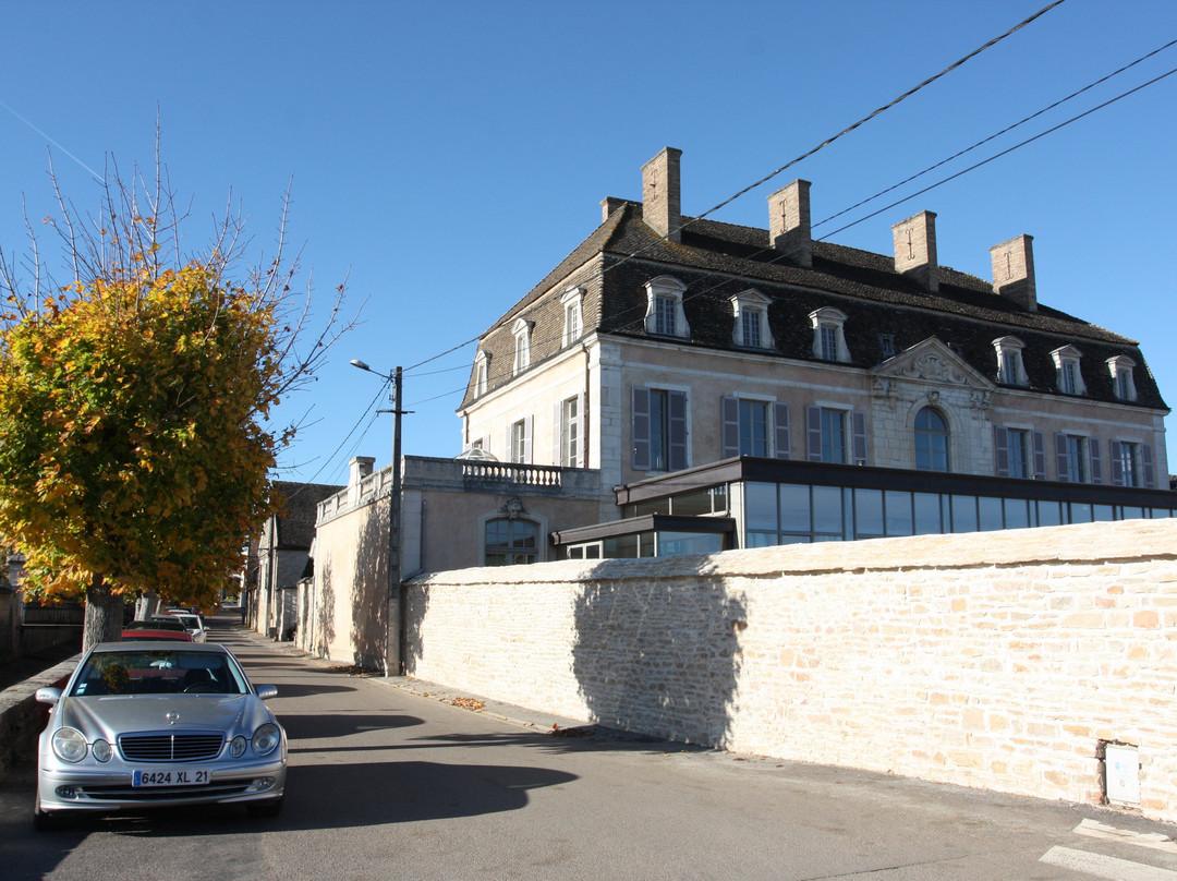 Chateau de Pommard景点图片