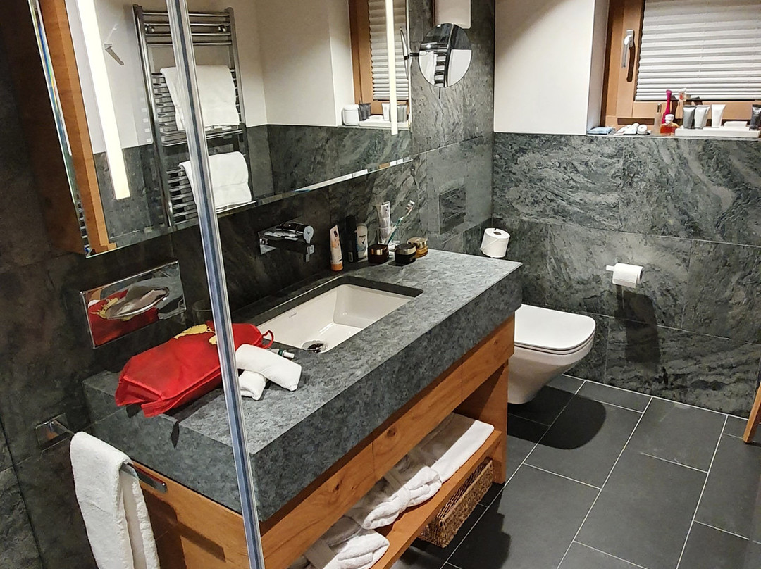 The Capra Hotel Saas-Fee主图