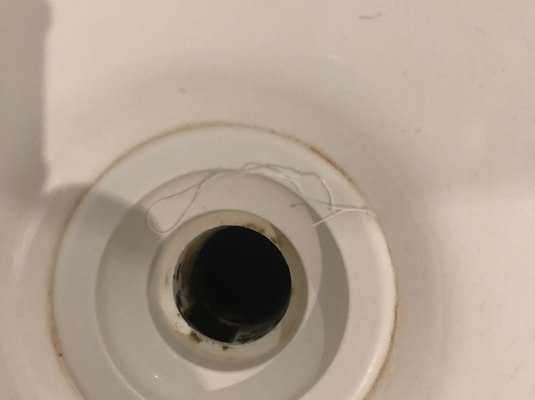 The Victoria Apartments主图