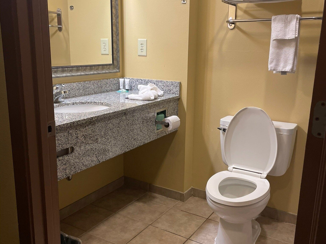 Sleep Inn & Suites North Mobile Saraland主图