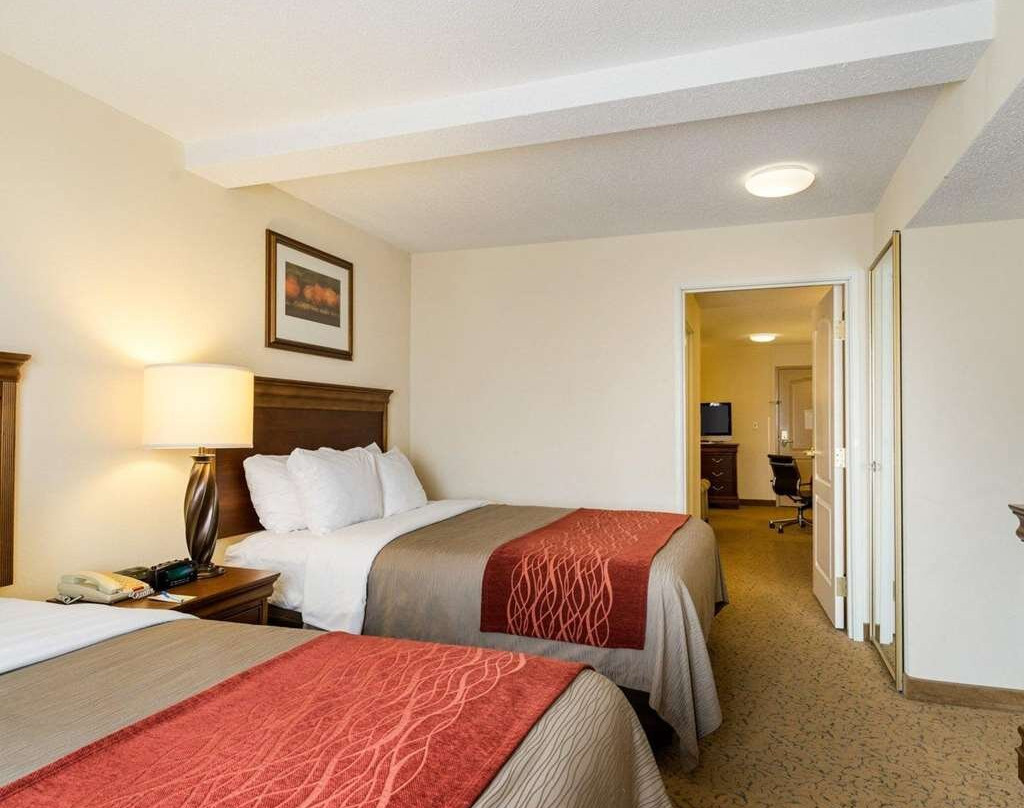 Comfort Inn & Suites Dover主图