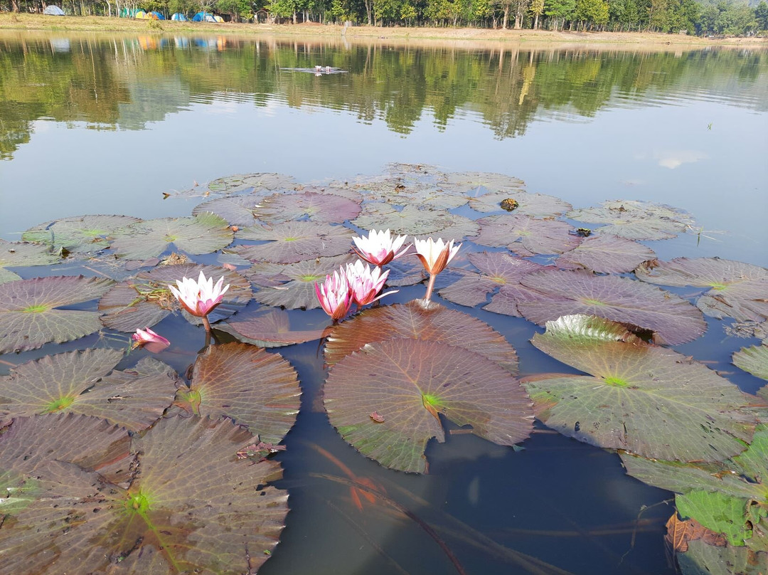Chandubi Lake-Kamrup District必去景点