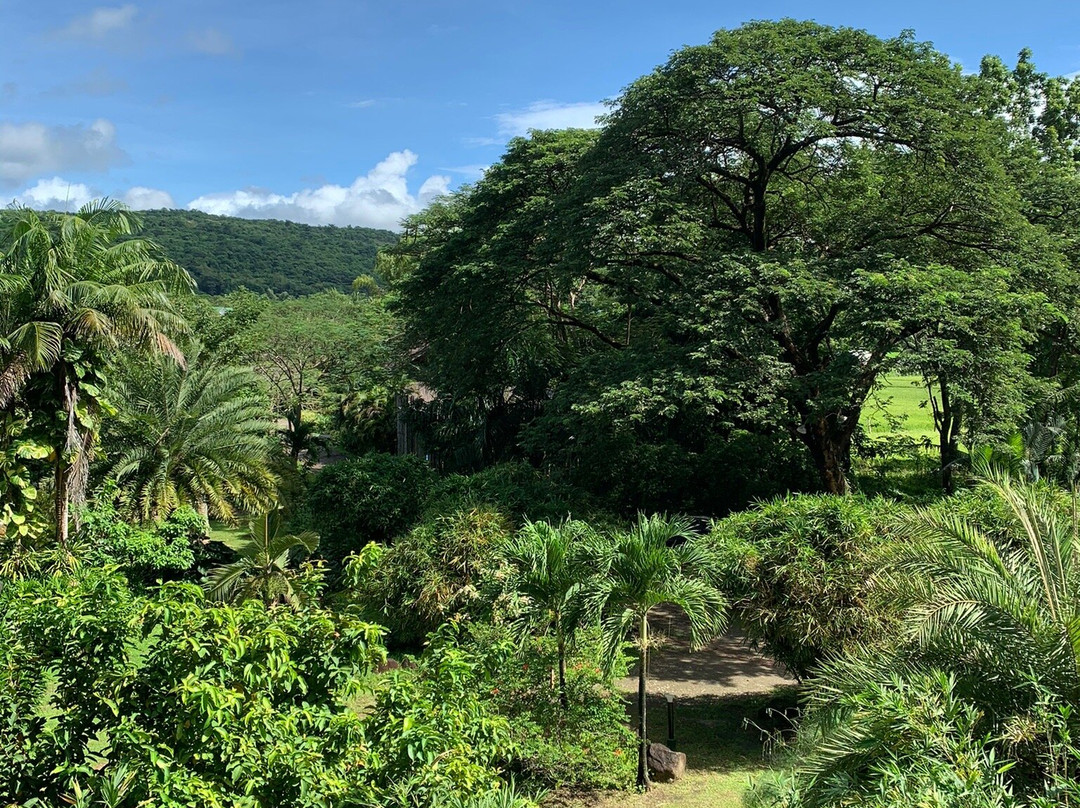 Casitas de Victoria主图