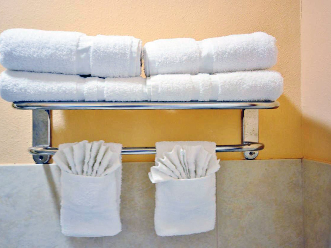 Scottish Inns & Suites Alvin主图