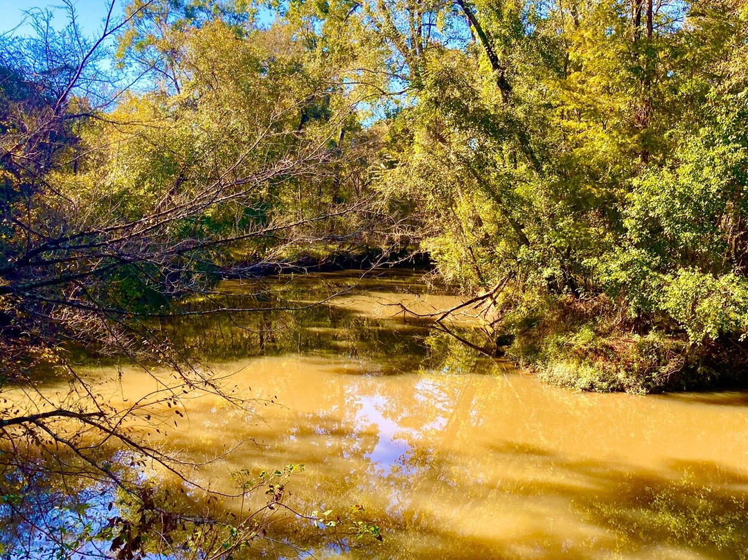 Tickfaw State Park-Springfield必去景点