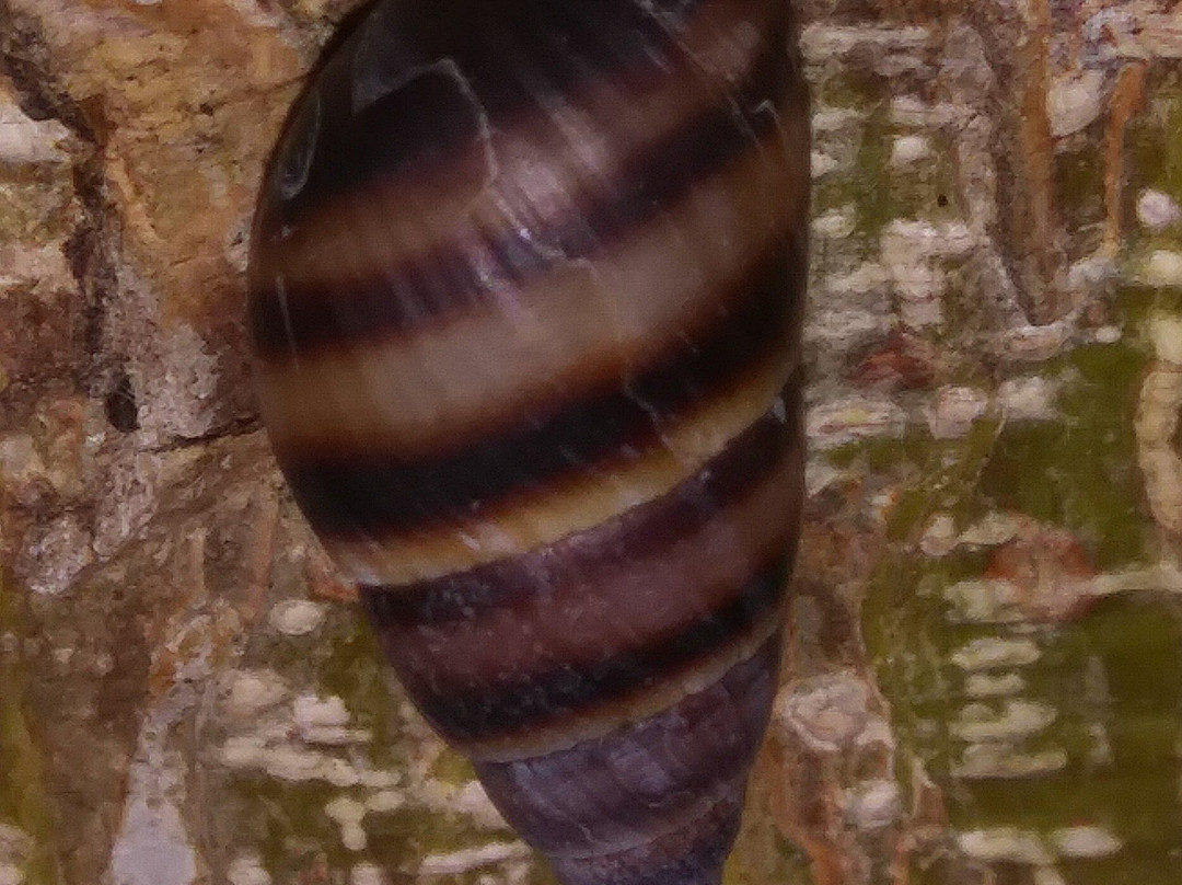 热带公园-迈阿密必去景点