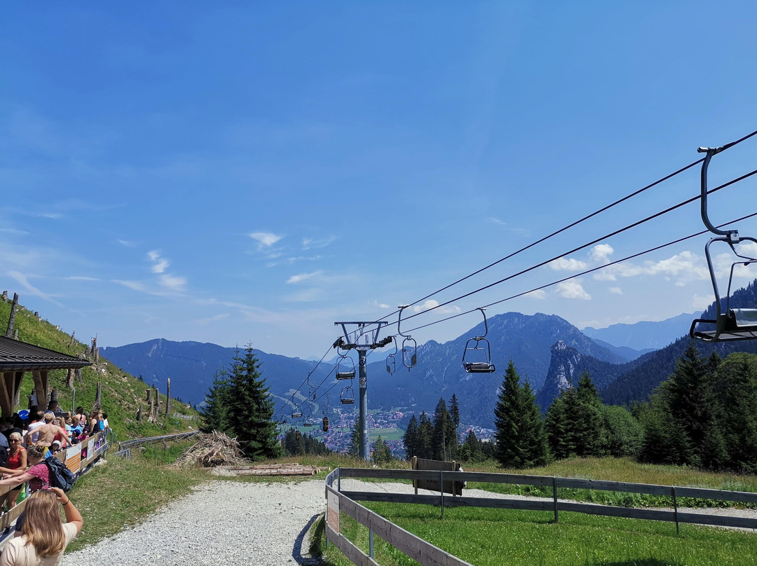 Alpine Coaster Oberammergau-奥伯阿默高必去景点